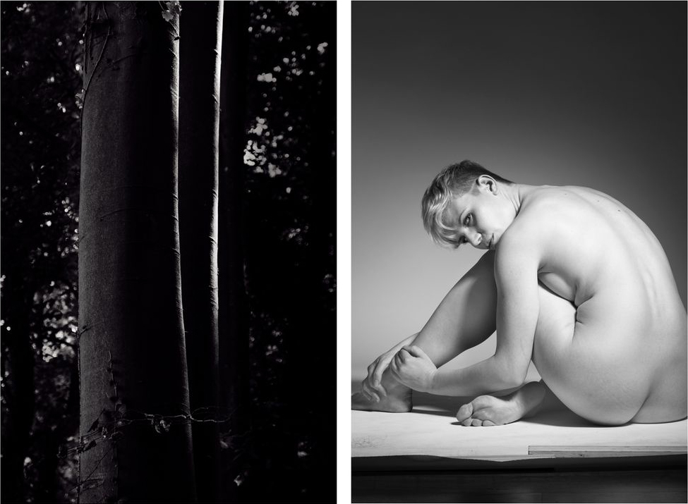 A image composed of two photographs: one is a studio nude, the other a tree trunk in nature