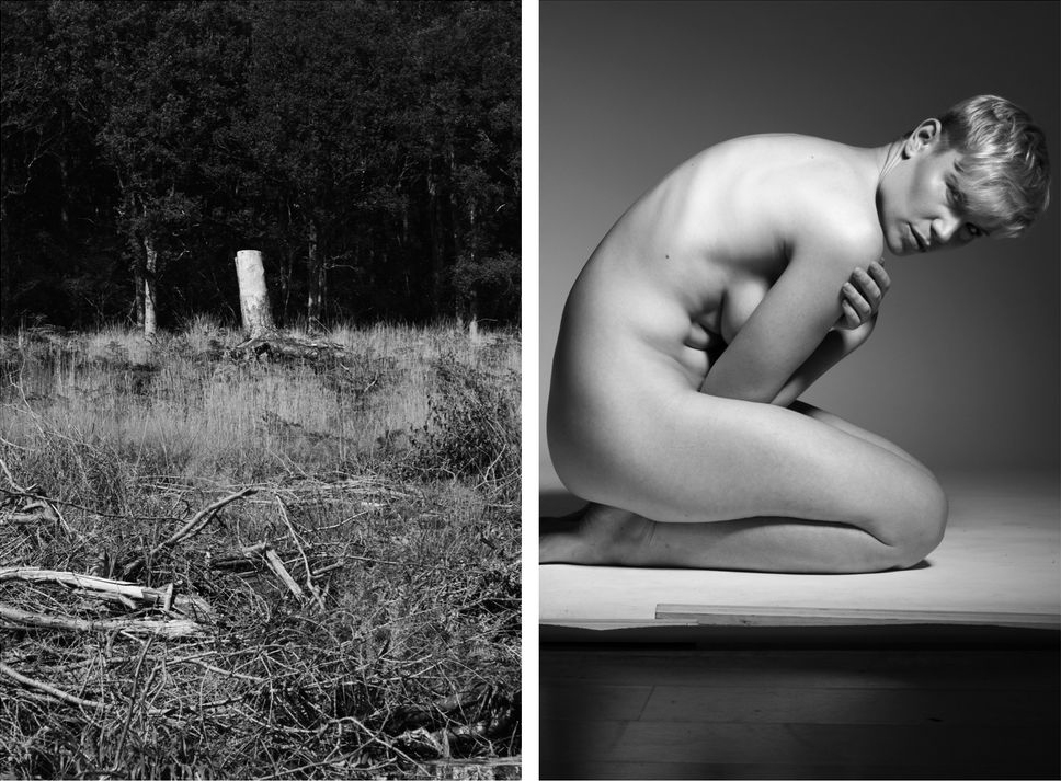 A image composed of two photographs: one is a studio nude, the other a tree trunk in nature