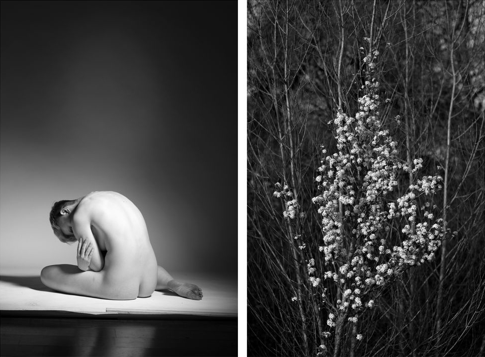 A image composed of two photographs: one is a studio nude, the other a tree trunk in nature
