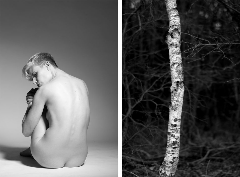 A image composed of two photographs: one is a studio nude, the other a tree trunk in nature