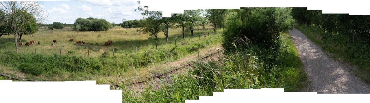 Recreational space